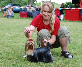 dsc_26510295.jpg